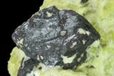 Hematite Crystals in Lizardite & Hydrotalcite - Norway #133994-1